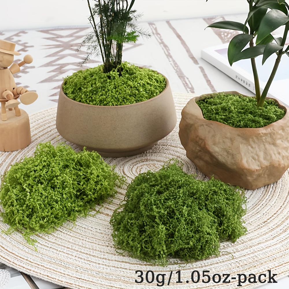 인공 가짜 이끼, 1.05 OZ DIY 시뮬레이션 이끼 - Terrarium Moss Art 리뷰 및 가격