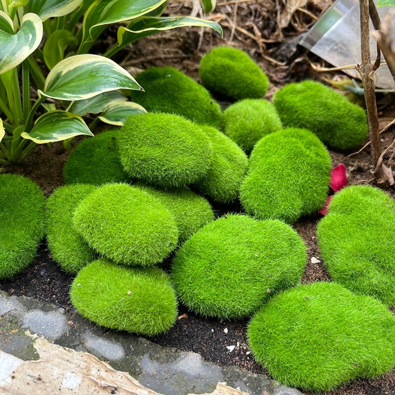 5/30pcs 시뮬레이션 이끼 돌 인공 이끼 돌 공 가 - Terrarium Moss Art 리뷰 및 가격