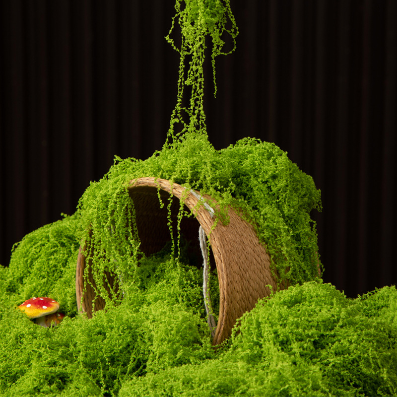 200g 영원한 생명 이끼 DIY 공예 잔디 인공 녹색 - Terrarium Moss Art 리뷰 및 가격